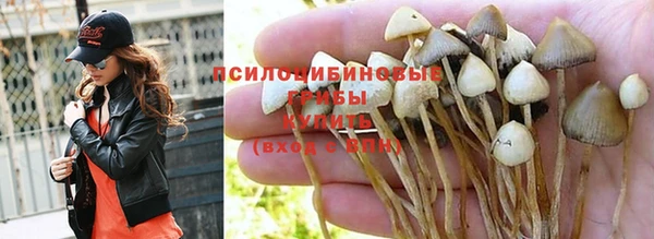 гидропоника Абдулино