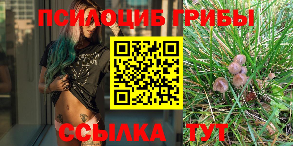 Знаменск  закладка  Галлюциногенные грибы Magic Shrooms  Вход с VPN  Псилоцибиновые грибы мухоморы 